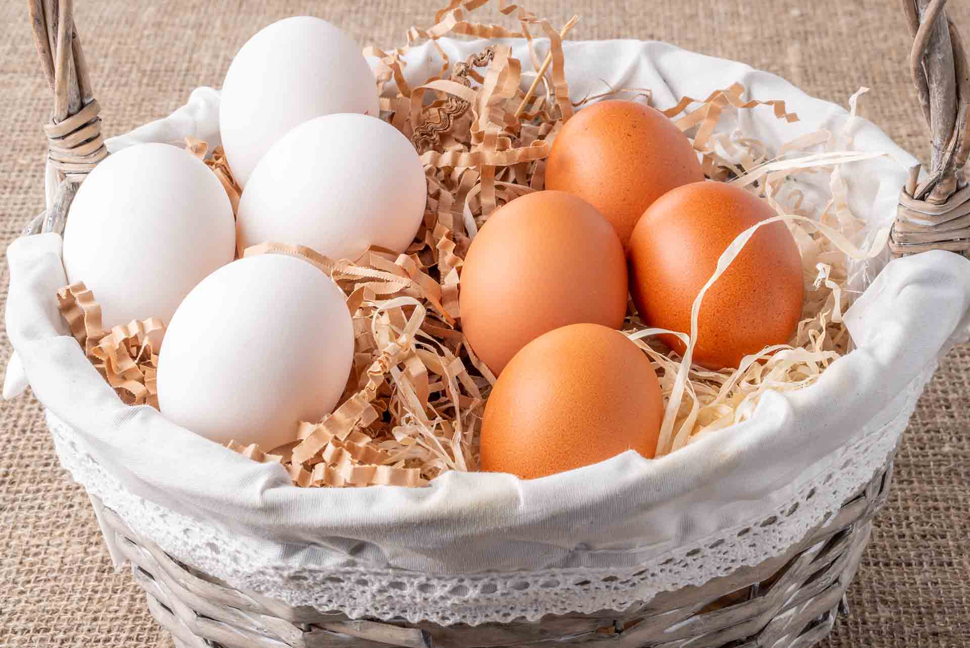 Kahverengi ve Beyaz Yumurta Arasında Bir Fark Var Mı?